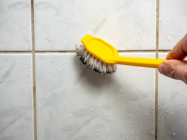 Best Same-Day Mold Removal  in New Hackensack, NY