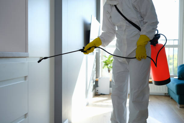 Best Crawl Space Mold Removal  in New Hackensack, NY