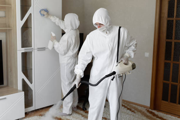 Best Mold Removal Process  in New Hackensack, NY
